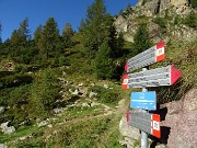 09 Imbocco il sent. 217 per Tre Pizzi-Pietra Quadra